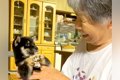 おばあちゃんと子犬…の画像