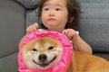 雷を怖がって震えて…の画像