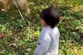 小さい男の子が大型…の画像