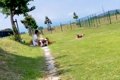 ドッグランで、知ら…の画像