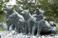 樺太犬｜犬種の特徴…の画像
