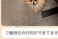 突然、妻からLINEで…の画像