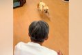 幼稚園に預けられて…の画像