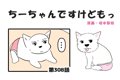  ちーちゃんですけど…の画像