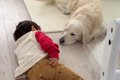 3歳の男の子が『大型…の画像
