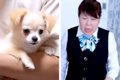 実家の犬が亡くなり…の画像
