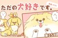 ただの犬好きです。…の画像