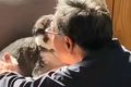 『犬だけは絶対に飼…の画像