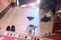 1人で実家に帰ってい…の画像