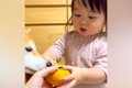 2歳の女の子に初めて…の画像