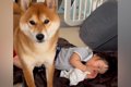 『お昼寝中の赤ちゃ…の画像