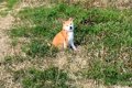 ムスッとした表情で…の画像