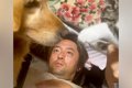 パパの上でじゃれあ…の画像