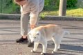 目が悪くなってきた…の画像
