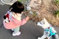 『くちぇ！』3歳の女…の画像