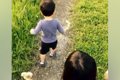 偶然『捨て犬』を発…の画像