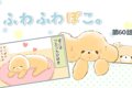 ふわふわぽこ。【第6…の画像