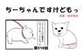  ちーちゃんですけど…の画像