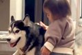犬にはとても優しく…の画像