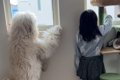学校から帰るとすぐ…の画像
