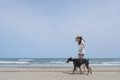 大型犬を室内で飼う…の画像