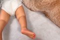 1歳の男の子と大型犬…の画像