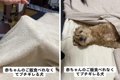 「赤ちゃんには怒ら…の画像