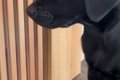 『職場で見て少し涙…の画像
