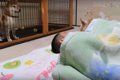 飼い主さんと眠る先…の画像