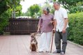 人は高齢でも犬を飼…の画像