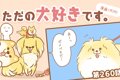 ただの犬好きです。…の画像