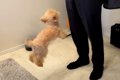 出張帰りの父が突然…の画像