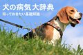 犬の病気大辞典！知…の画像