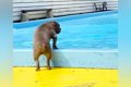 海で溺れてから『水…の画像