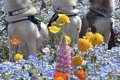 『こっちみろーい』3…の画像