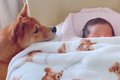 赤ちゃんが家にやっ…の画像