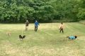 縦横無尽に駆け回る3…の画像