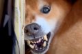 『風呂キャンセル界…の画像