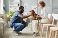 動物病院で『絶対に…の画像
