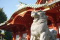 神社にある「狛犬」…の画像