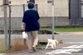 おばあちゃんが『犬…の画像