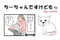 ちーちゃんですけど…の画像