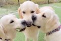 一つのおもちゃを取…の画像
