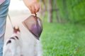 犬の飼い主が注意す…の画像