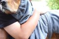 川で元気に遊んだ大…の画像