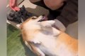 大好きなお姉ちゃん…の画像