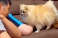 パパが『ママを叩く…の画像