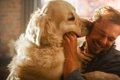 犬が『顔を舐めてく…の画像