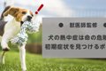 犬の熱中症は命の危…の画像