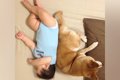 寄り添って寝転がる…の画像